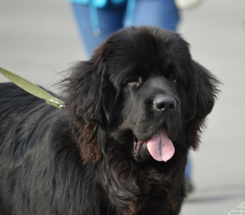 Фотография № 191324