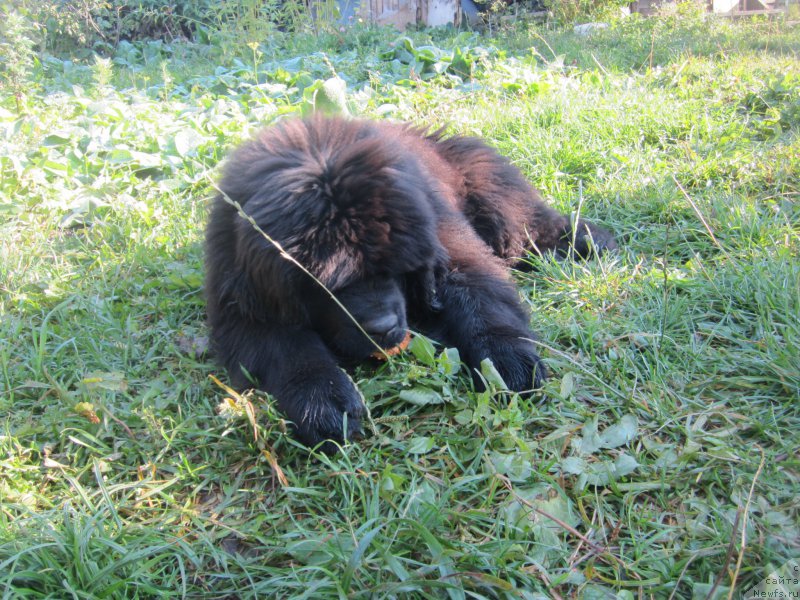 Фото: Наталья Смазчикова