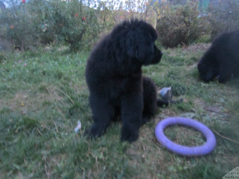 Фото: Наталья Смазчикова