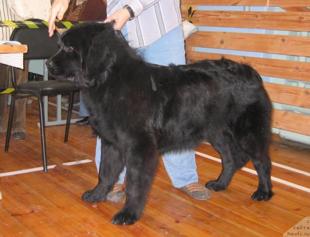 Фотография № 19137