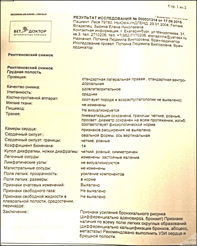 Фотография № 191371