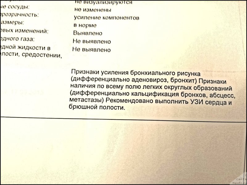 Фотография № 191372