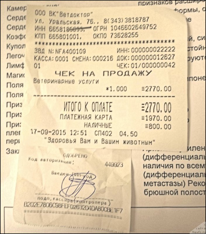 Фотография № 191374