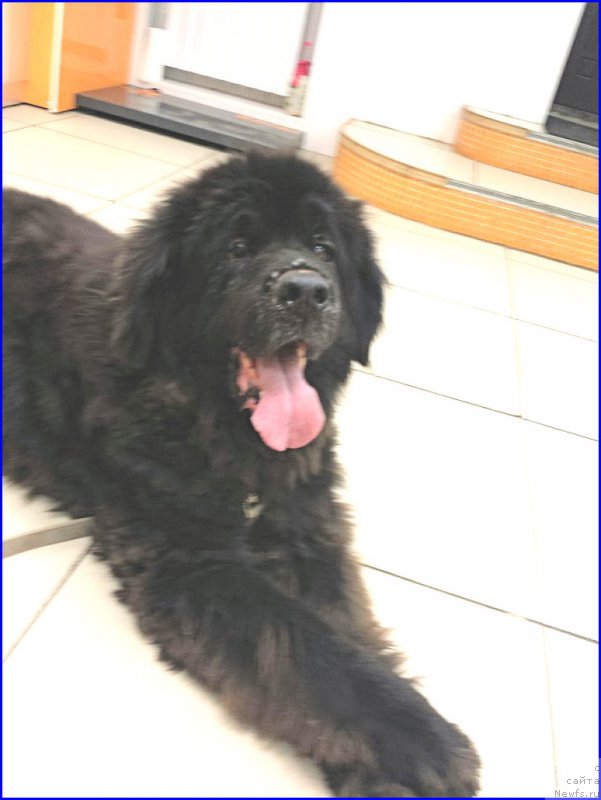 Фотография № 191375