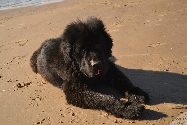 Фотография № 191389