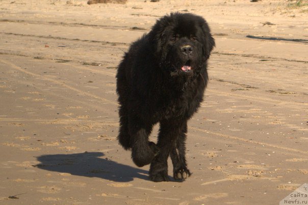 Фотография № 191390