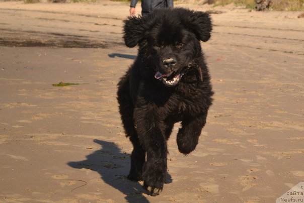 Фотография № 191391