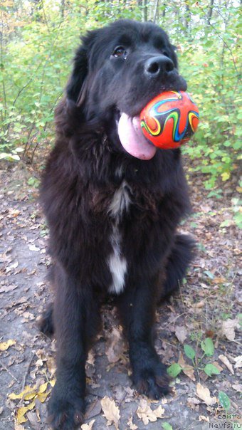 Фотография № 191392