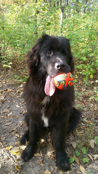 Фотография № 191393