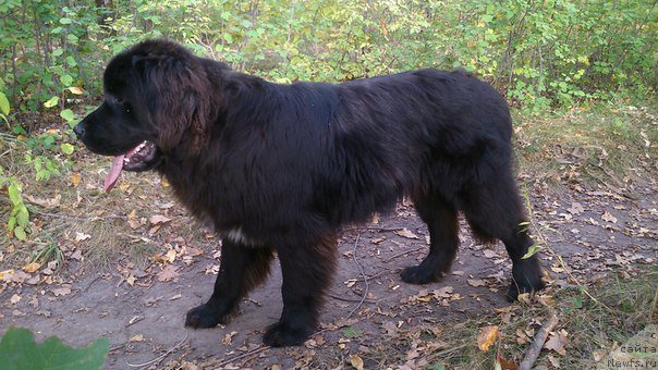 Фотография № 191394