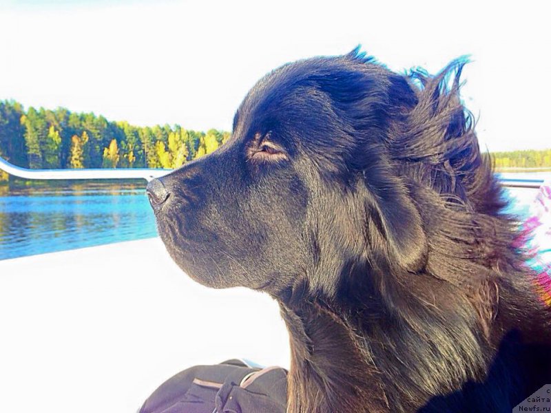 Фотография № 191396