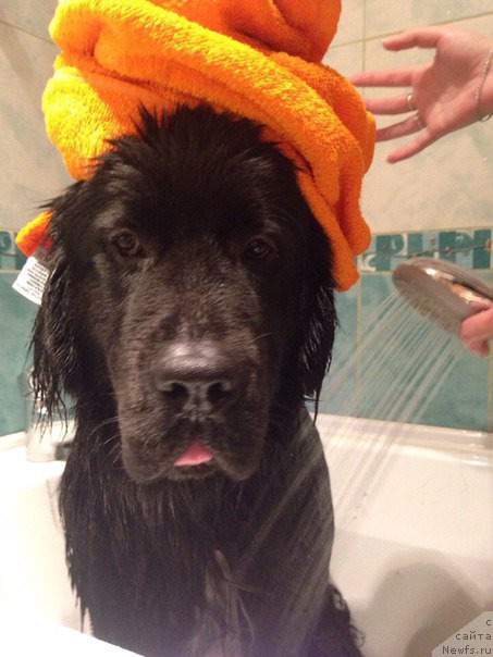 Фотография № 191398