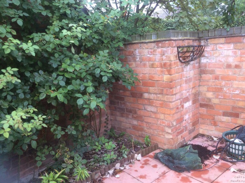 Фотография № 191400