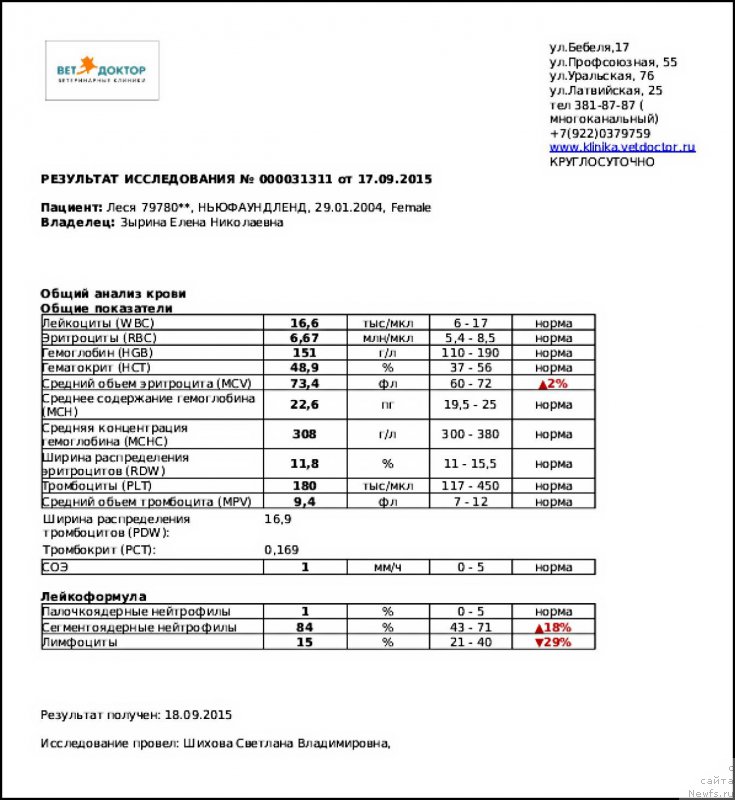 Фотография № 191404