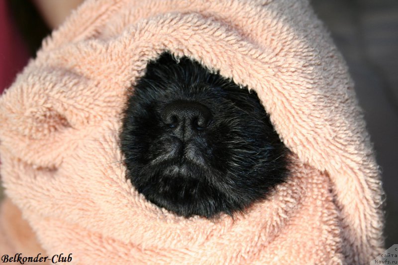 Фотография № 191407