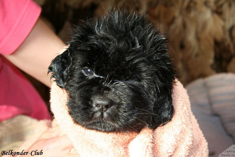 Фотография № 191408