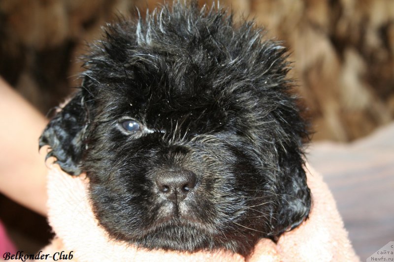 Фотография № 191409