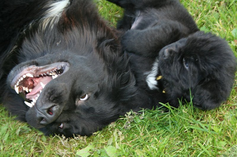 Фотография № 191457