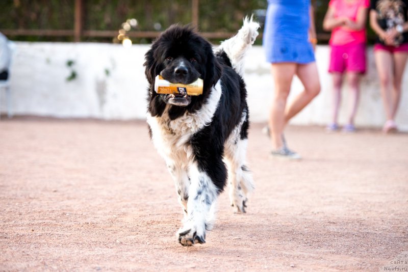 Фотография № 191458