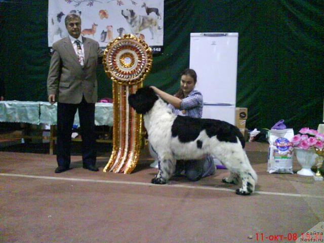 Фотография № 19146