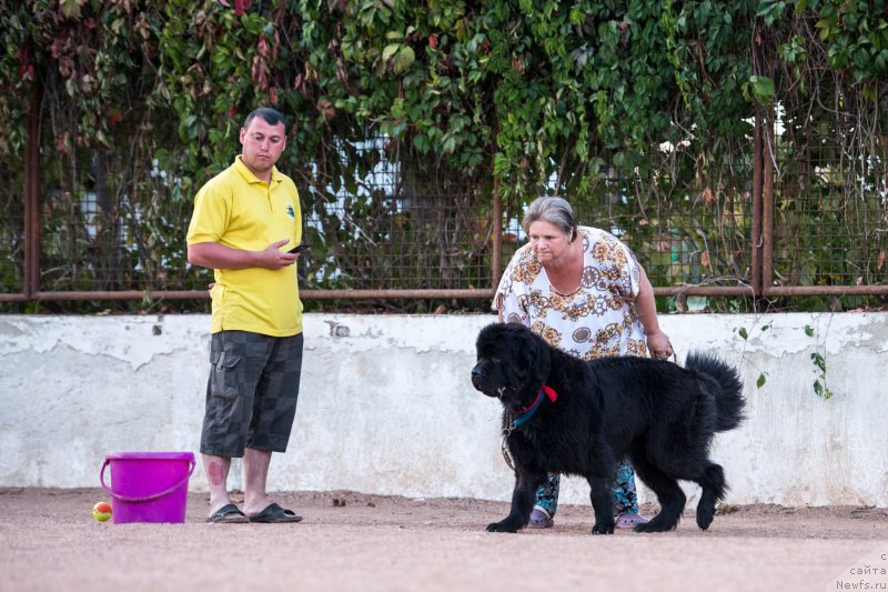 Фотография № 191460