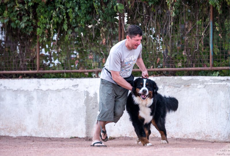 Фотография № 191467