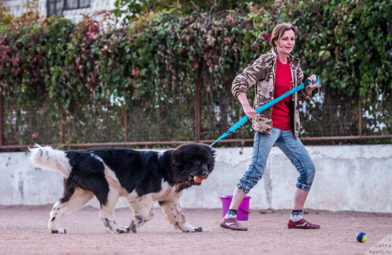 Фотография № 191468