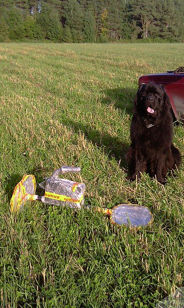 Фотография № 191471