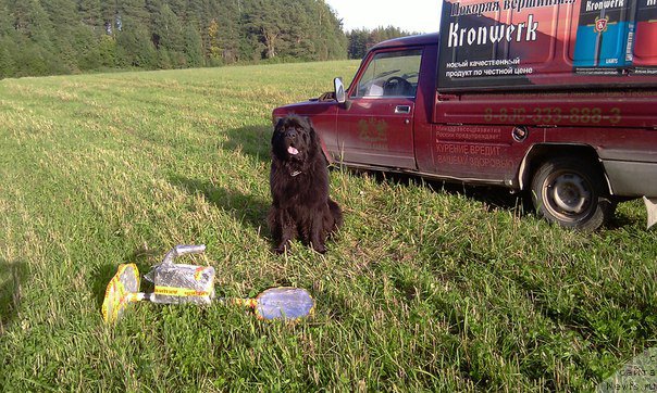 Фотография № 191472