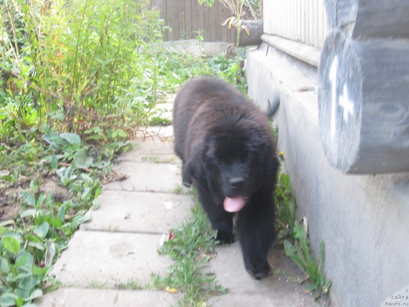 Фото: Наталья Смазчикова