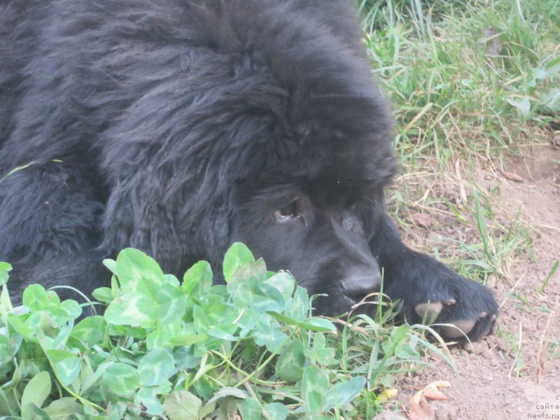 Фото: Наталья Смазчикова