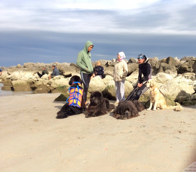 Фотография № 191485