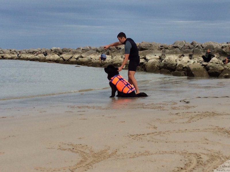 Фотография № 191487