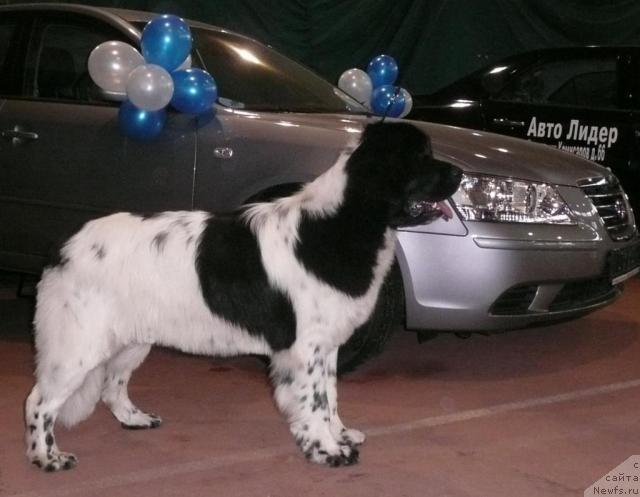 Фотография № 19149