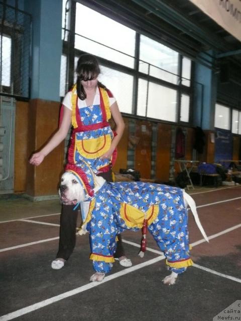 Фотография № 19150