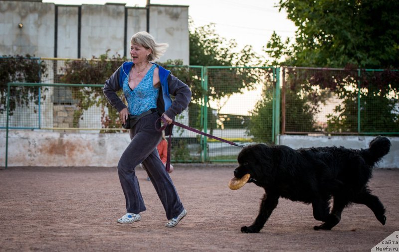 Фотография № 191501