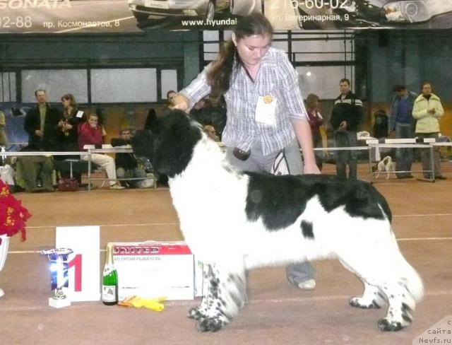 Фотография № 19151