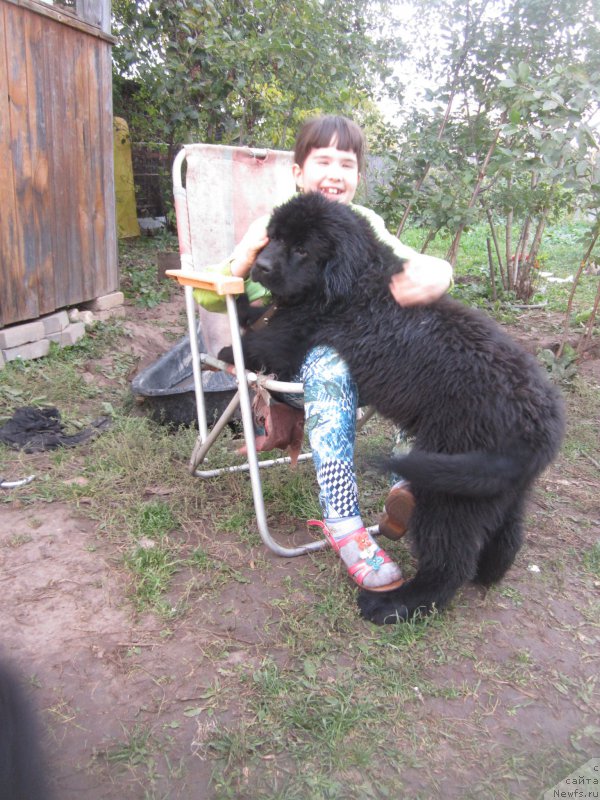 Фото: Наталья Смазчикова