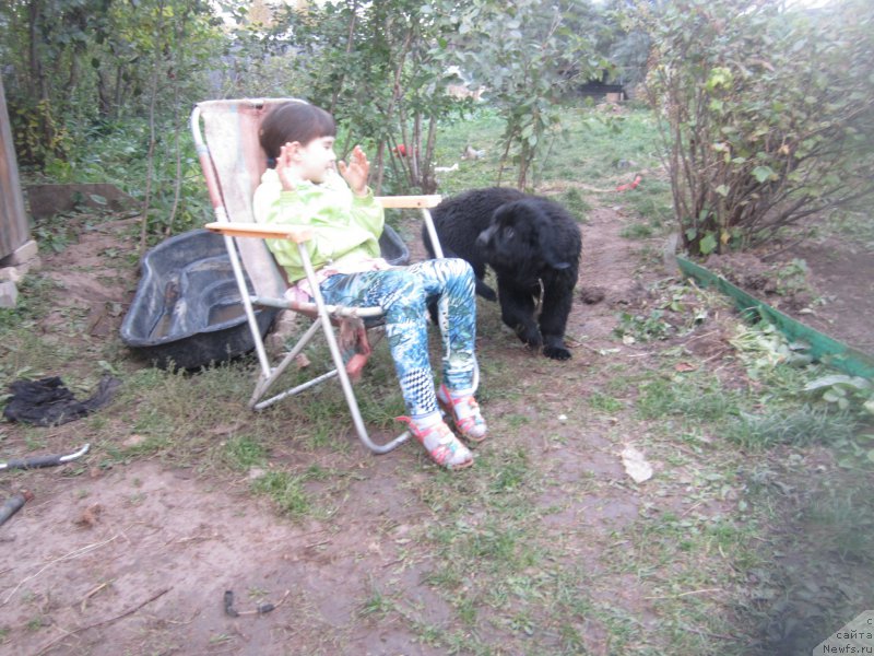 Фото: Наталья Смазчикова