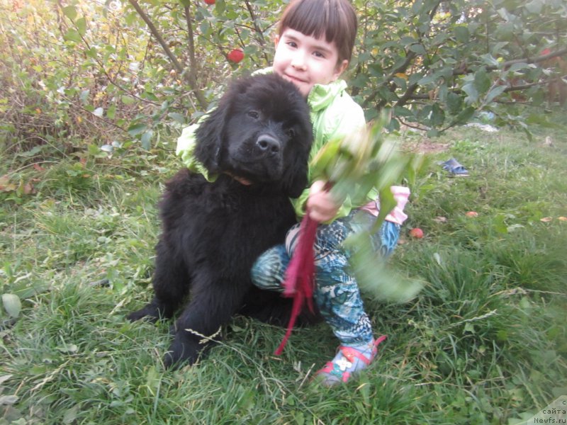 Фотография № 191521