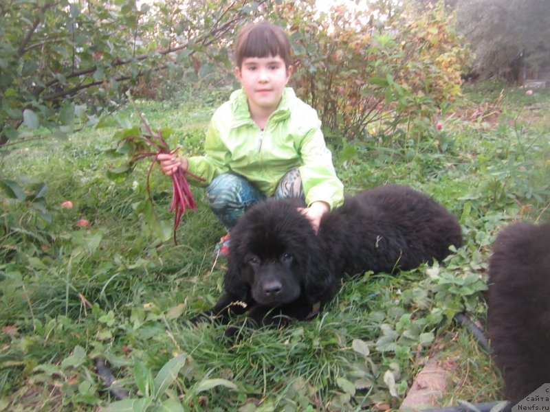 Фото: Наталья Смазчикова