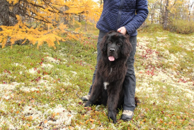 Фотография № 191527