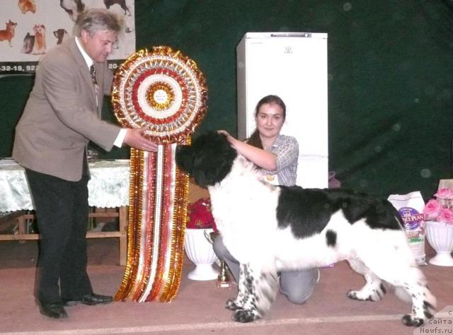 Фотография № 19153