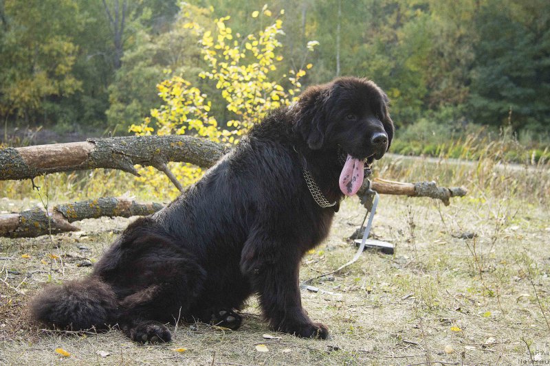 Фотография № 191549