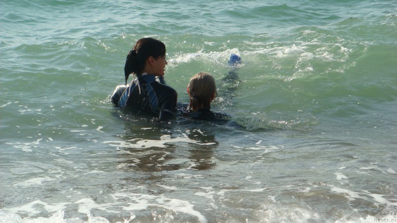 Фотография № 191552