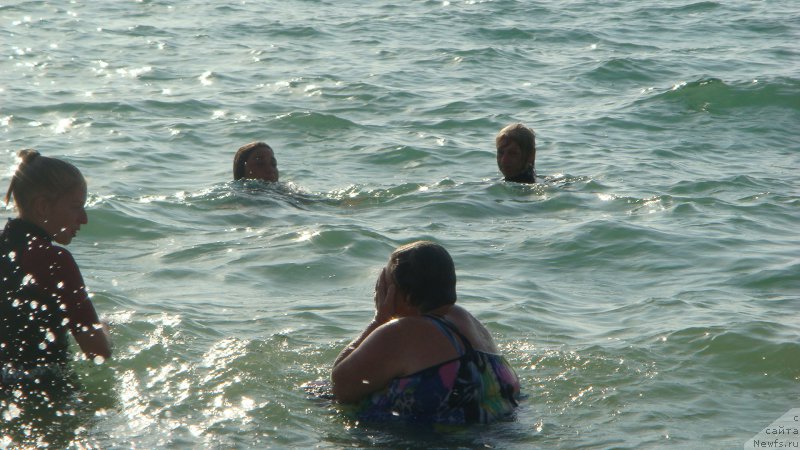 Фотография № 191554