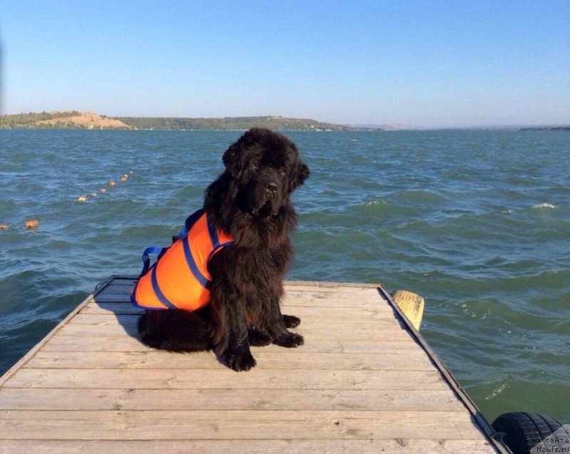 Фотография № 191575