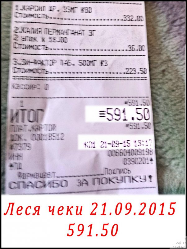 Фотография № 191585