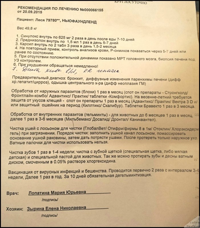 Фотография № 191586