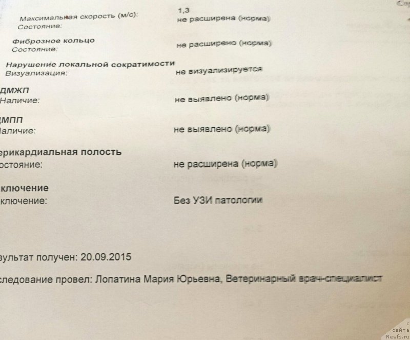 Фотография № 191588